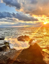 今日份纖細介紹，價格不一樣，選擇的類型大概的參考一下：