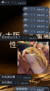 我已經迫不及待要跪地服務來介紹了