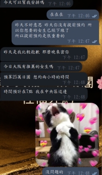 #大阪的性福😚