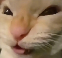 嘿嘿嘿~爆乳J罩杯妹妹安排性福中