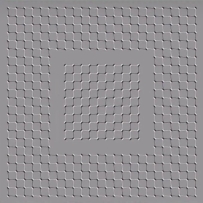 這是一張圖喲😜