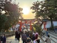 心之所向，釋放自己的慾望