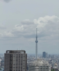 古德貓寧~ 早安捏