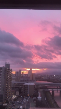 生命渺小短暫如浮游