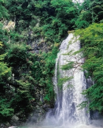 心有闊野，向陽而生