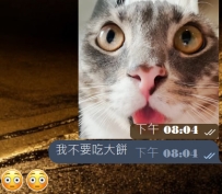 快到月底了，大餅先不吃了😭